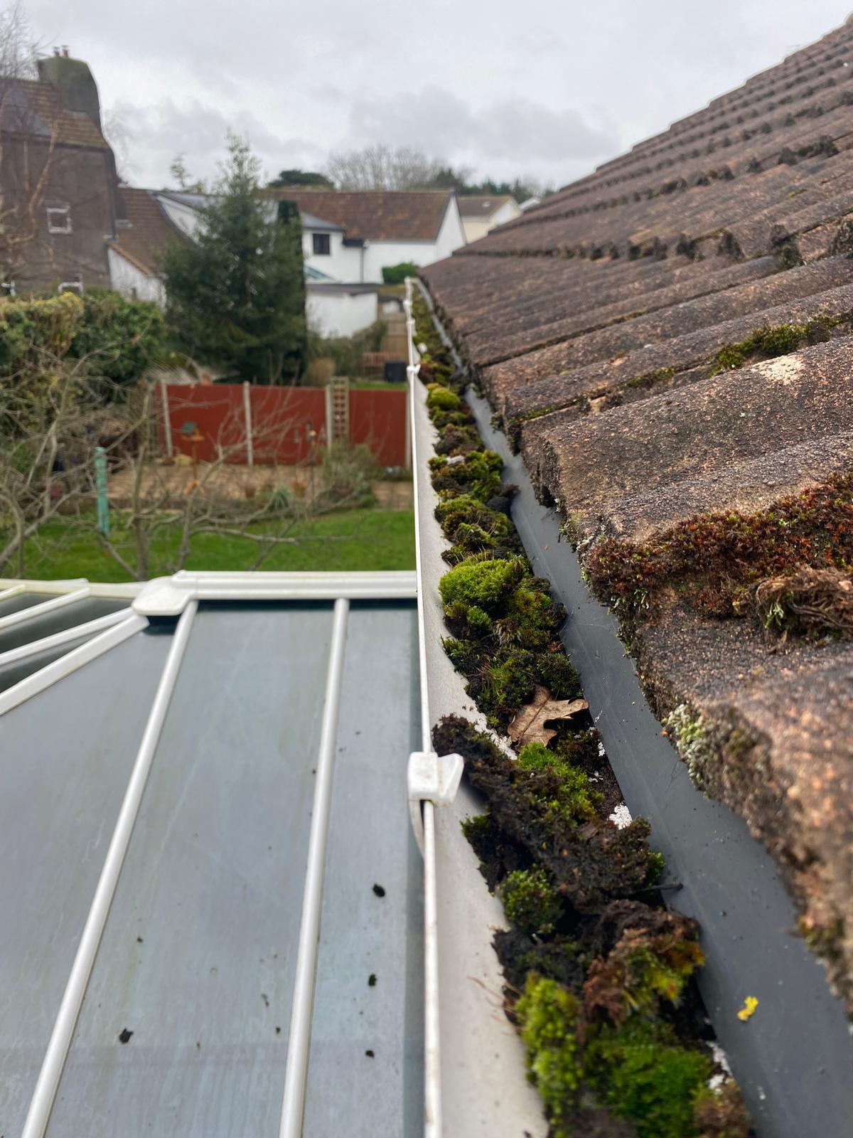 A close-up view of a house roof with moss growing between roof tiles and a gutter partially filled with moss and debris. In the background, trees, bushes, and neighboring houses appear under a cloudy sky—perfect for cladding cleaning needs.